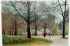 Altman April Morning
