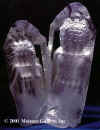 michael wilkinson crystal vision
