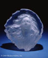 michael wilkinson study of muse whisper