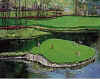 mark king golf series I sawgrass 17